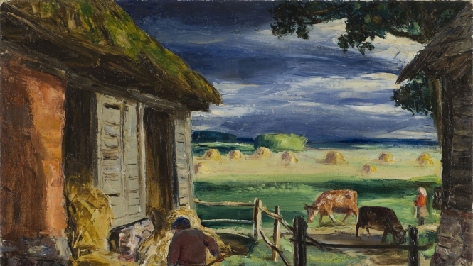 Lauku skats