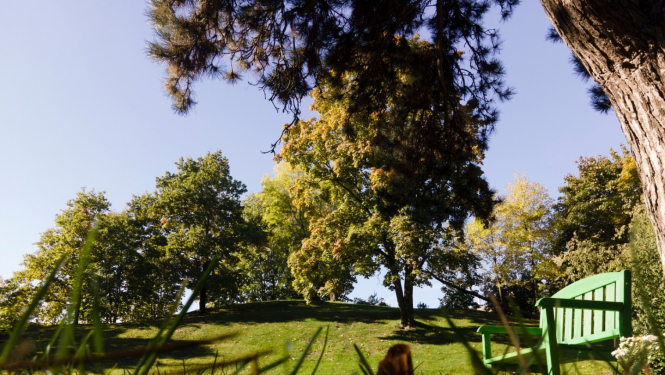 Ainava ar soliņu