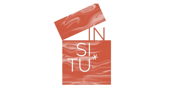 Starptautiskās vasaras skols IN SITU* 2026 logo