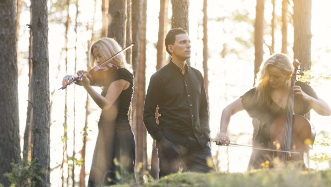 Trio Palladio