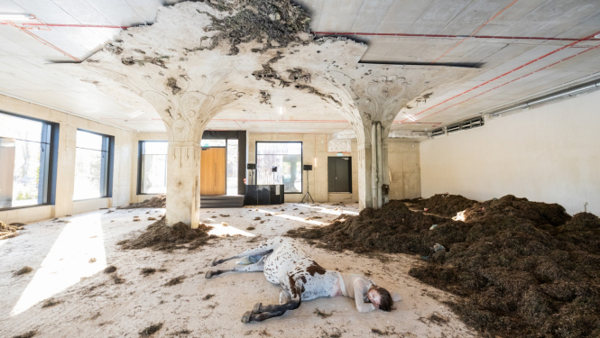Izstādes vizuālais materiāls, foto: Reinis Oliņš