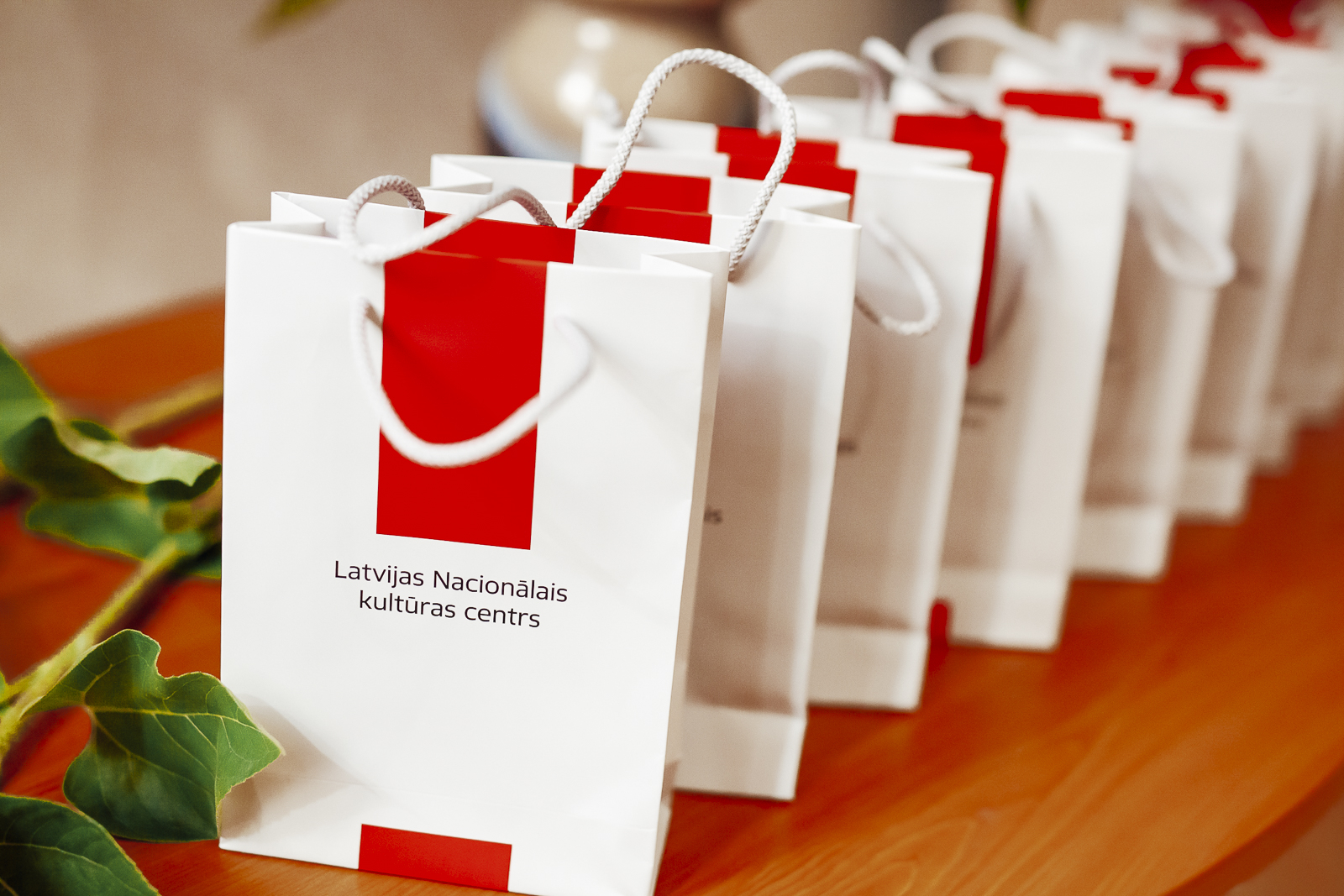 27.08.2025_Latvijas profesionālās ievirzes un profesionālās vidējās kultūrizglītības iestāžu vadības sanāksme