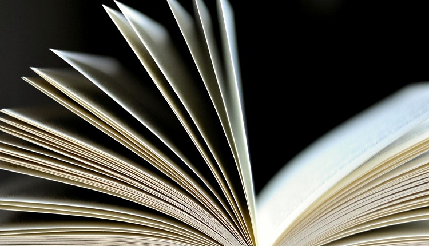 Publicēti ES programmas "Radošā Eiropa" 2019. gada Literāro tulkojumu konkursa rezultāti
