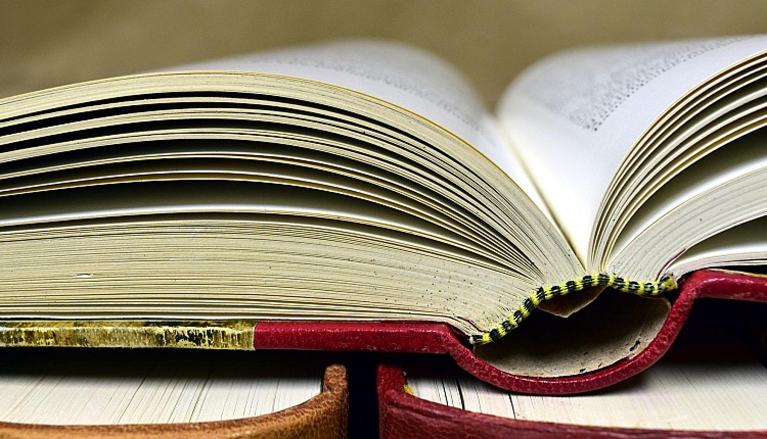 Publicēti ES programmas "Radošā Eiropa" 2017. gada Literāro tulkojumu konkursa rezultāti