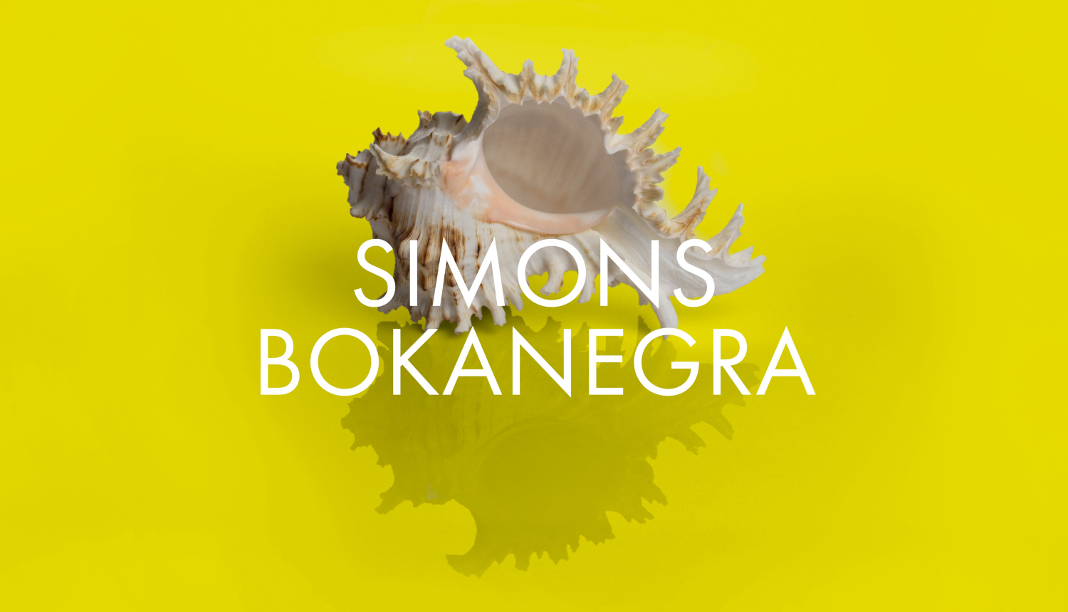 Operas “Simons Bokanegra” vizuālais materiāls.