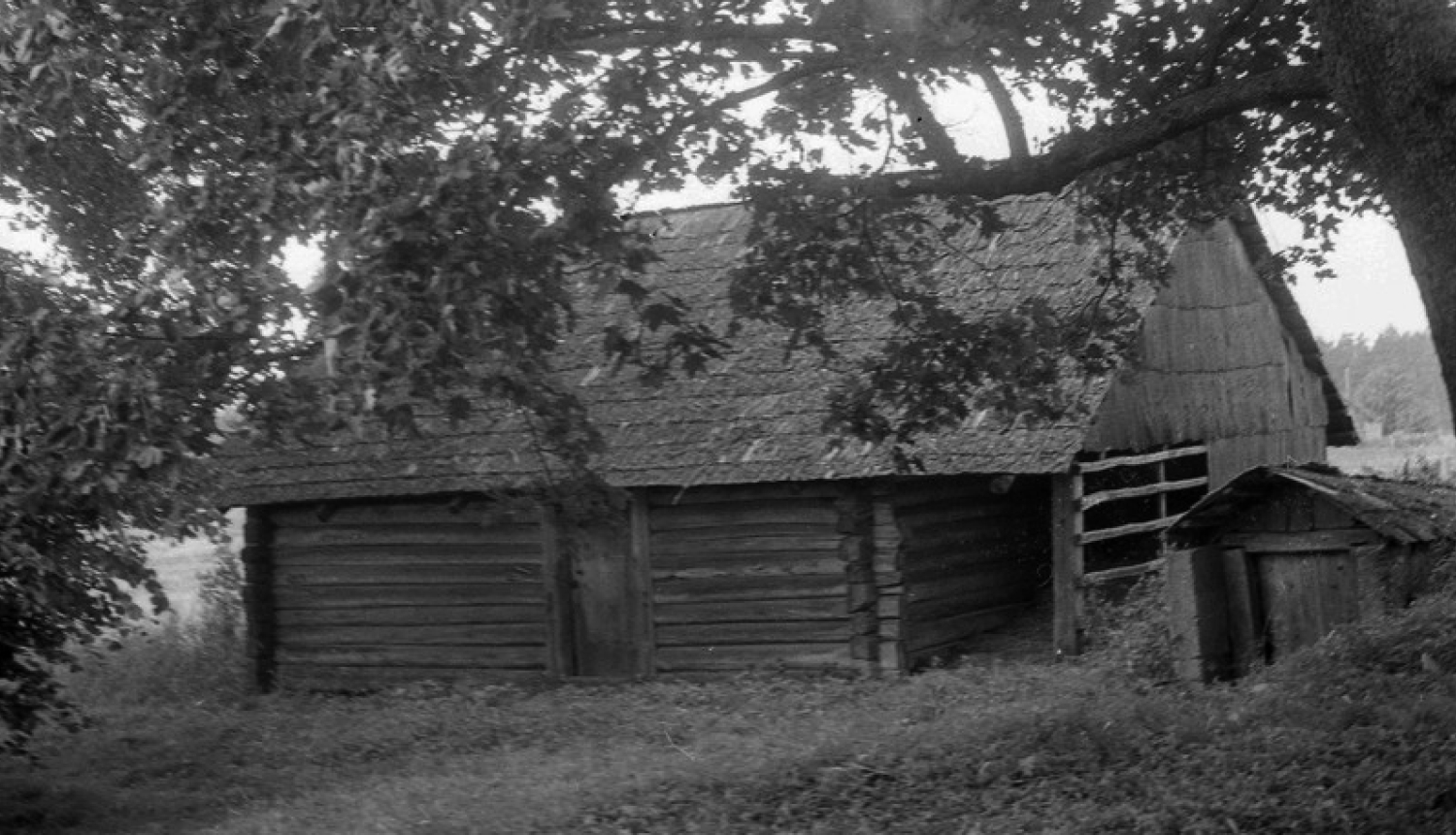 Aniņu klēts ar piebūvi 1975. gads. Foto: Maija Kreišmane