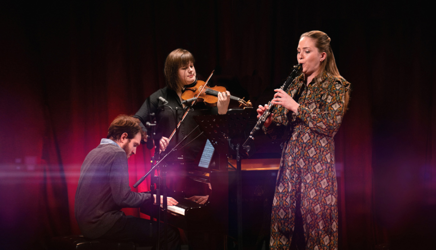 Mūziķu trio