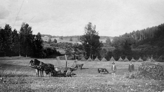 Siena vākšanas darbi latviešu zemnieka sētā. Latvija, 1921. gads.