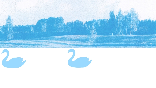 Ilustrācija ar ziliem gulbīšiem