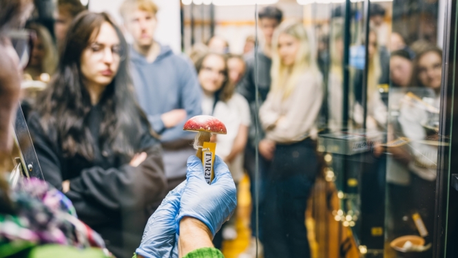 Muzeja apmeklētājiem tiek rādīts eksponāts