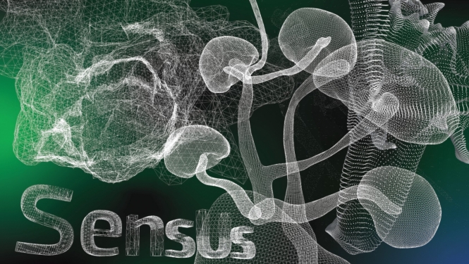 “SensUs. Paplašinātās dabas kultūras” AR izstādes plakāts RIXC & NAIA, 2023. SensUs publicitātes attēls