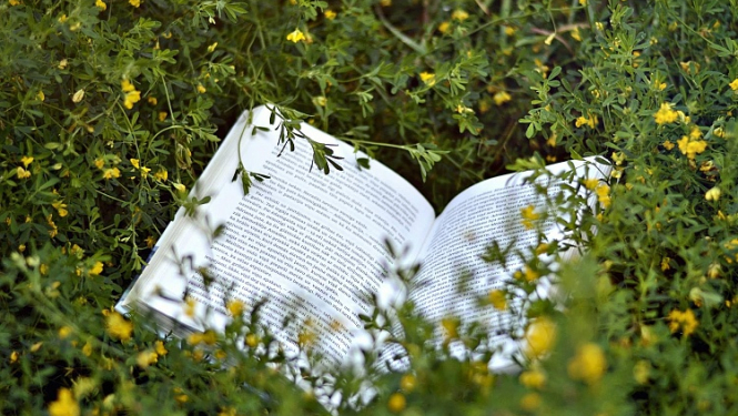 Literatūras un kritikas portāls "Ubi Sunt" atsācis darbu