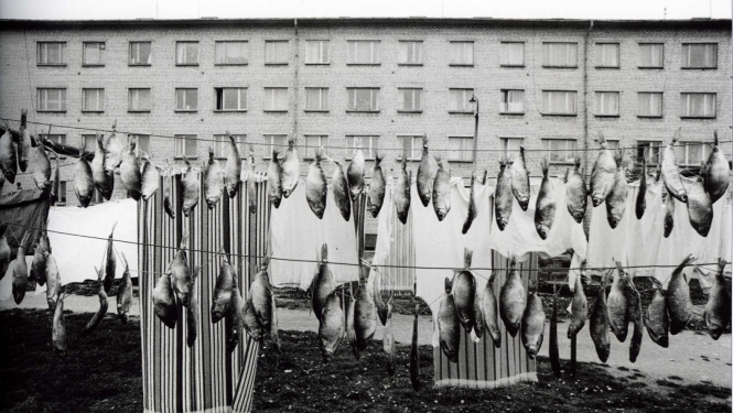 Gvido Kajons. Zivis pie šņores. No cikla “Tēma 011”. 1980–1990. Arhīva papīrs, tintes druka. LNMM kolekcija. Foto: Gvido Kajons