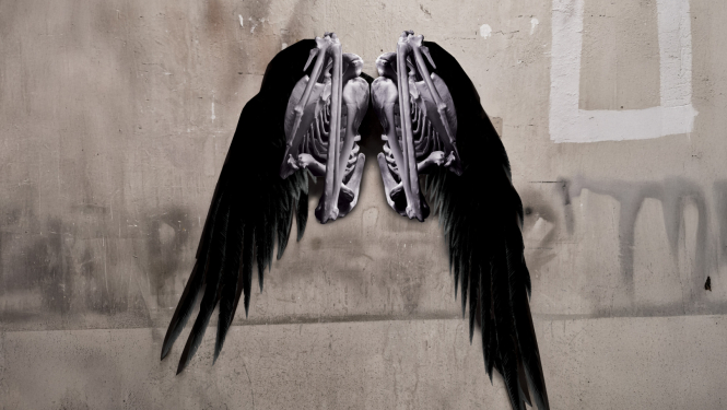 Izrādes publicitātes attēls - stilizēti vārnu spārni uz pelēcīgas sienas fona