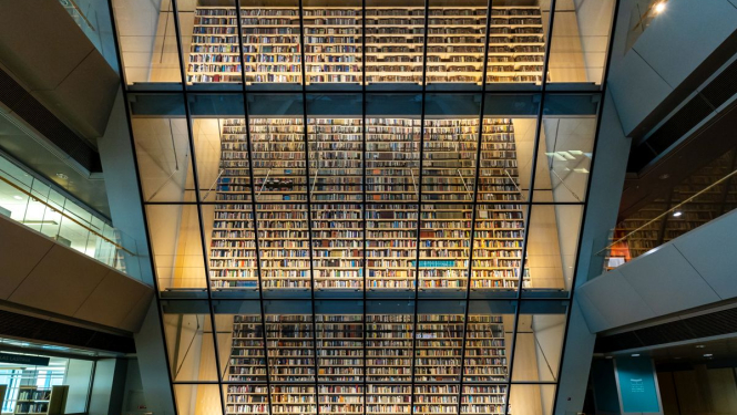 Latvijas Nacionālās bibliotēkas Tautas grāmatu plaukts