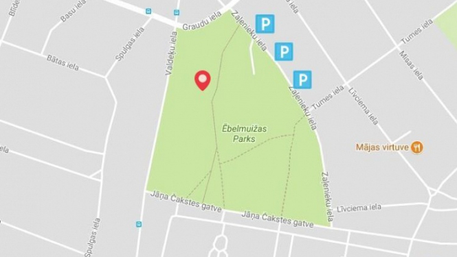 Uzaicinājums uz Latvijas valsts simtgades dižkoku meklēšanas akcijas uzsākšanu