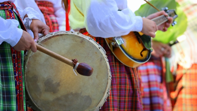 Folkloras kopas mūziķi