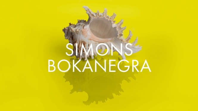 Operas “Simons Bokanegra” vizuālais materiāls.