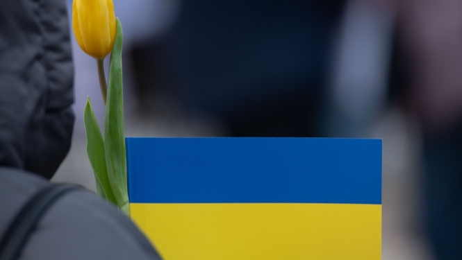 Ukrainas karoga krāsas