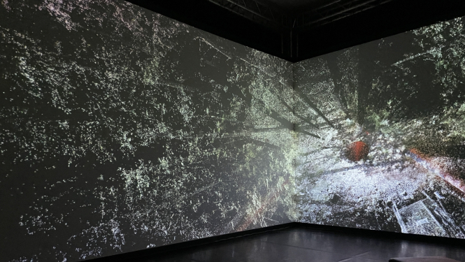 Rasa Šmite un Raitis Šmits. Atmosfēriskais mežs, 2022