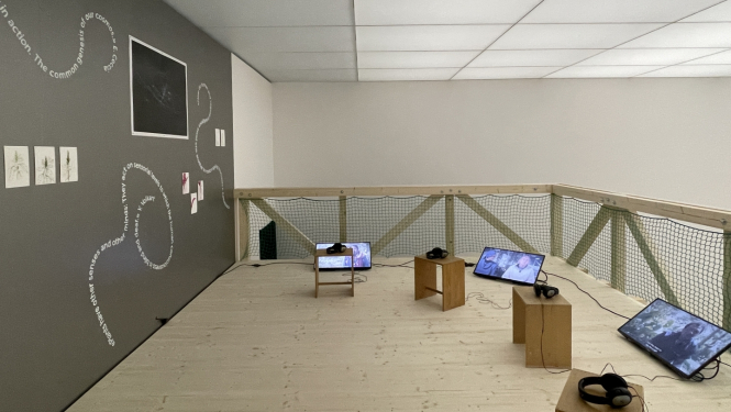 Parliament of Plants II izstāde, 2023. Ivonna Volkarta, Felipa Kastelblanko, Džūlija Menša un Rasa Šmite. “Plants_Intelligence. Learning like a Plant”, Kunstmuseum Liechtenstein. Foto: Rasa Šmite