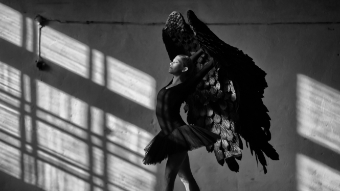 Eduards Kapša, “Melnais gulbis”, fotogrāfija