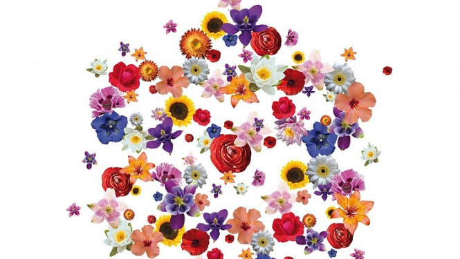 Latvijas Nacionālā opera un balets 16. augustā sāk vasaras izrādes