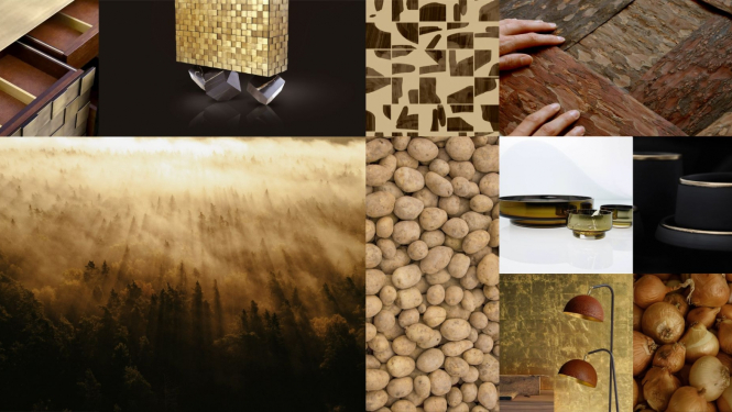 Izstādes elementu kolāža