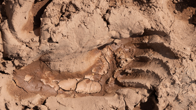 Ilustrācija sarunai “Kas ir “vīrišķīga māksla”?” LNMM 29.09.2024. Foto: Iveta Gabaliņa