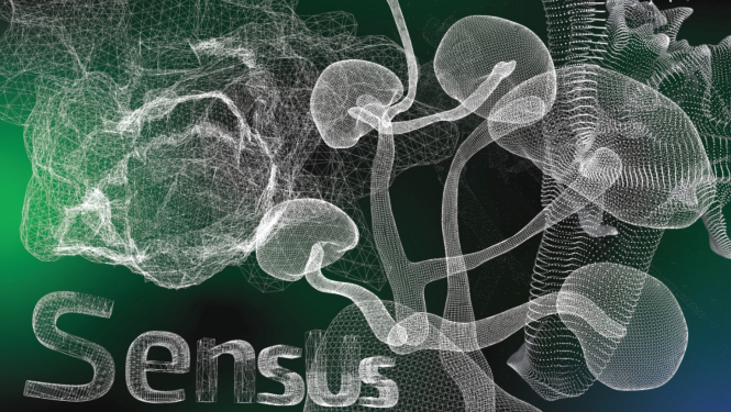 “SensUs. Paplašinātās dabas kultūras” AR izstādes plakāts RIXC & NAIA, 2023. SensUs publicitātes attēls