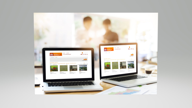 Nacionālā muzeju krājuma kopkatalogs (NMKK)