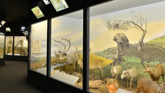 Latvijas Dabas muzejs kļūs par nacionālas nozīmes muzeju