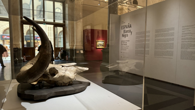 Izstāde “España Blanca y Negra: Spānijas vīzija no Fortuni līdz Pikaso” Mākslas muzejā RĪGAS BIRŽA. 2024. Foto: Anete Brakša