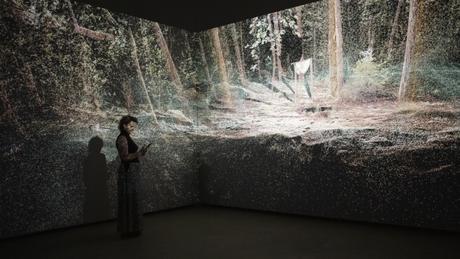 Atmosfēriskais mežs, 2020. Purvīša balvas 2021 nominantu izstāde. Foto: Kristīne Madjare