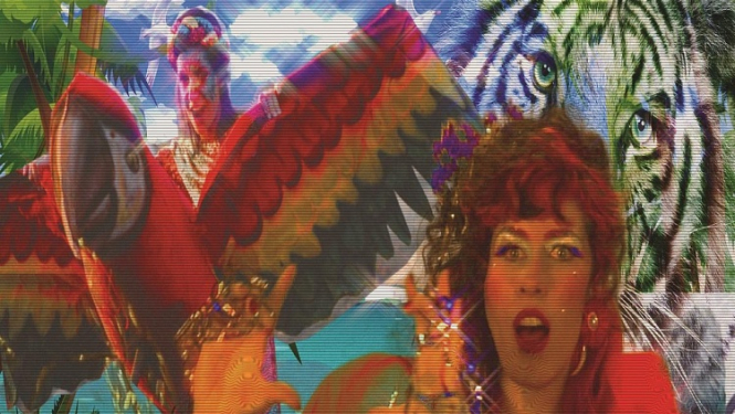 Laikmetīgās mākslas festivālu SURVIVAL KIT atklās ar krāšņu programmu Rīgas cirka ēkā