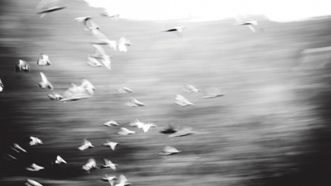 “Pierakstītā skaņa” Latvijas Nacionālajā bibliotēkā