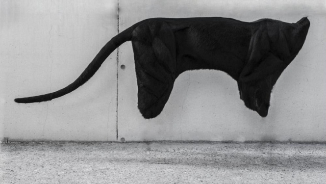 Cēsīs notiks Latvijas Mākslas akadēmijas studentu diplomdarbu izstāde "Netveramā robeža"