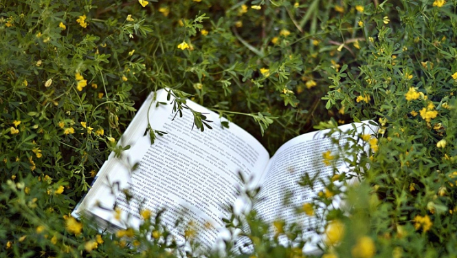 Literatūras un kritikas portāls "Ubi Sunt" atsācis darbu