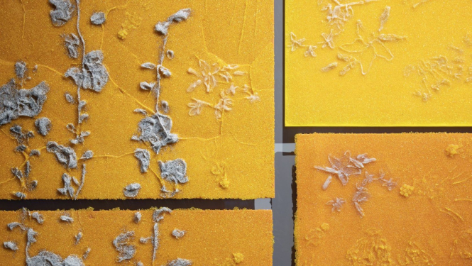 Mareta Sarapu (Maret Sarapu, Igaunija). Darbs "Celebration". 2023. Foto: Karel Koplimets