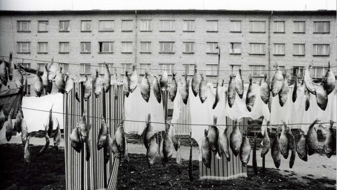 Gvido Kajons. Zivis pie šņores. No cikla “Tēma 011”. 1980–1990. Arhīva papīrs, tintes druka. LNMM kolekcija. Foto: Gvido Kajons