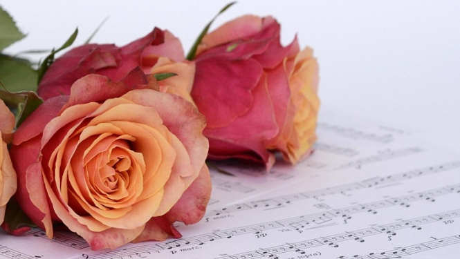 Kultūras ministres Daces Melbārdes apsveikums pirmajā skolas dienā