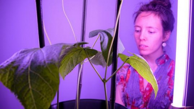 Latvija piedalās starptautiskajā digitālās mākslas izstādē, kas notiek trīs valstīs