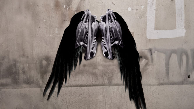 Izrādes publicitātes attēls - stilizēti vārnu spārni uz pelēcīgas sienas fona