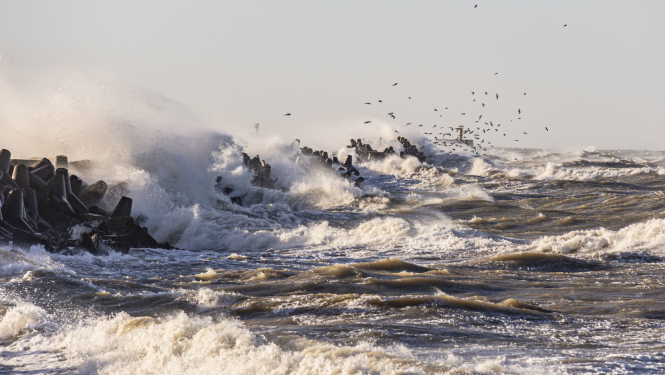 "Dabas (ne)miers" publicitātes foto