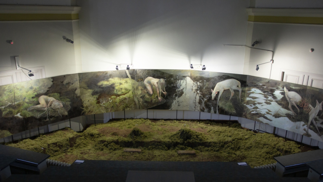 Apbalvotais darbs "Forest Floor" (2025) sūnas uz grīdas un sirreālas meža ainavas gleznotas uz vertikālām plaknēm apkārt sūnu laukam