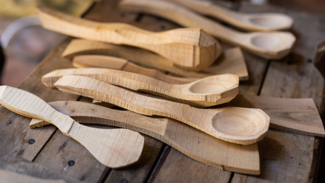 Koka karotes, LNKC publicitātes foto