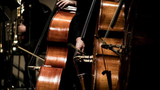 Divi kontrabasi uz skatuves