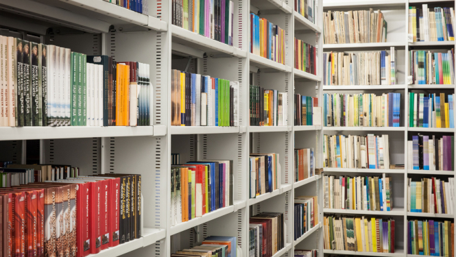 Grāmatu pilni plaukti