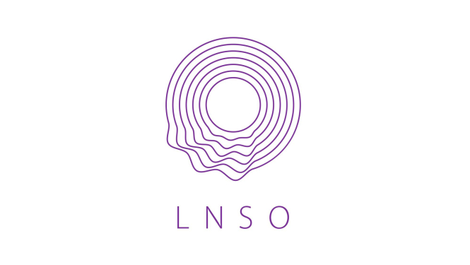 Latvijas Nacionālā simfoniskā orķestra (LNSO) logo