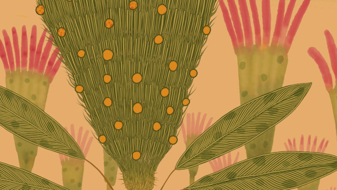 Ilustrāciju izstādes “Maģiskais mežs” fragments